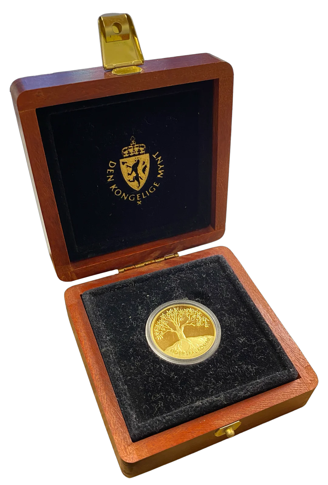 16.97g .917Au (1/2oz) (SPOT)Tusenårsmynten i skrin fra Samlerhuset