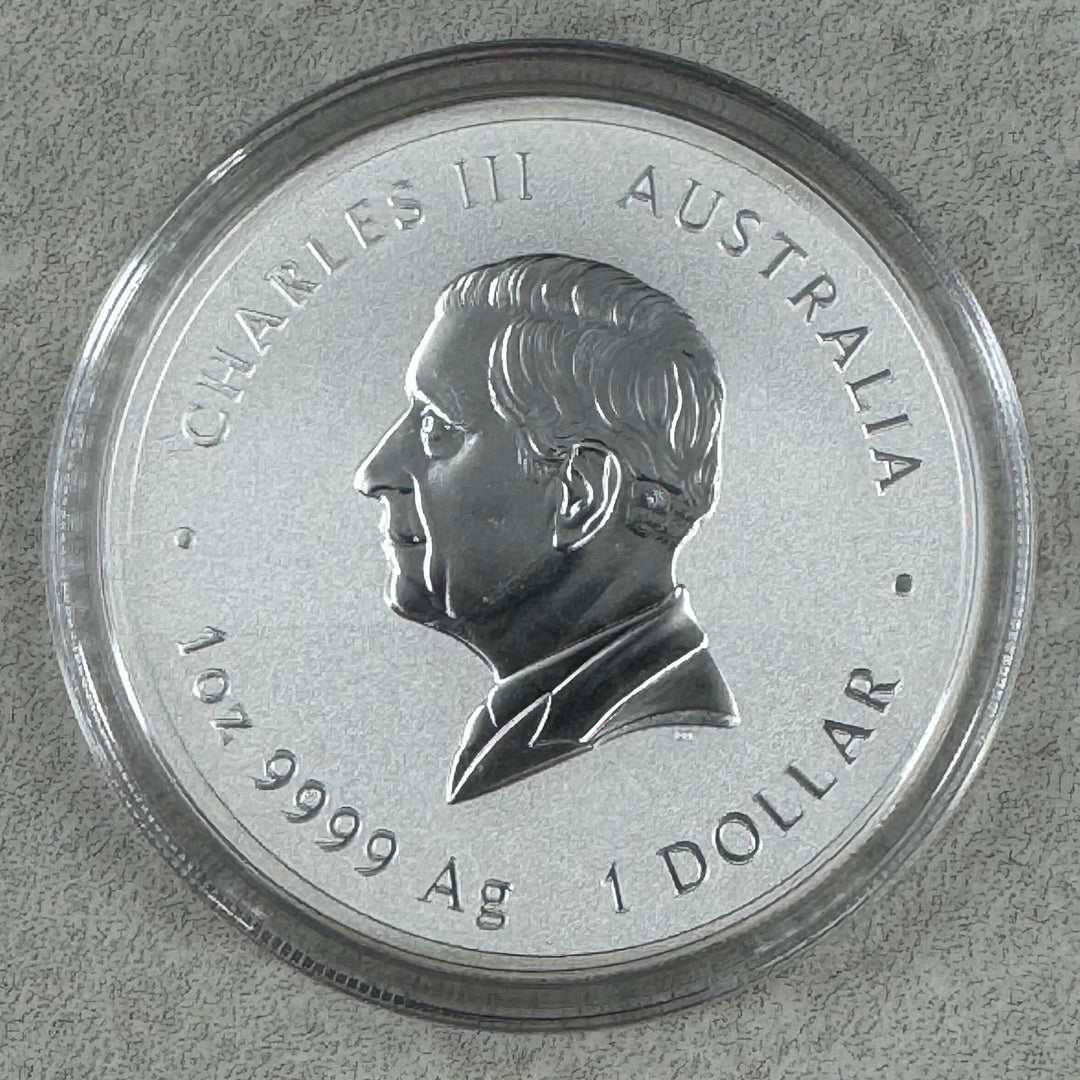 1oz .999Ag 2025 Australian Year Of The Snake