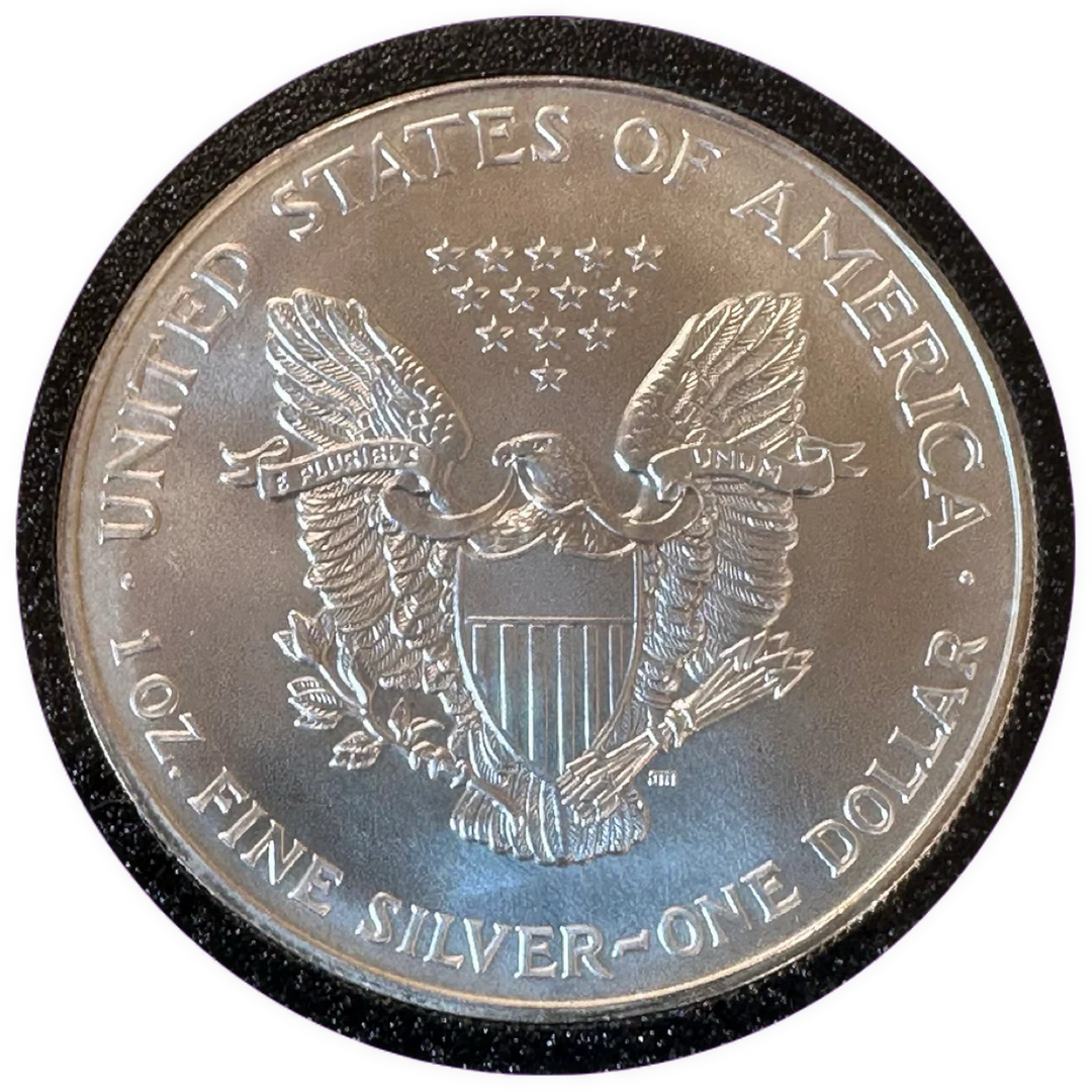 1oz .999Ag Silver Eagle 1996 (Patina)