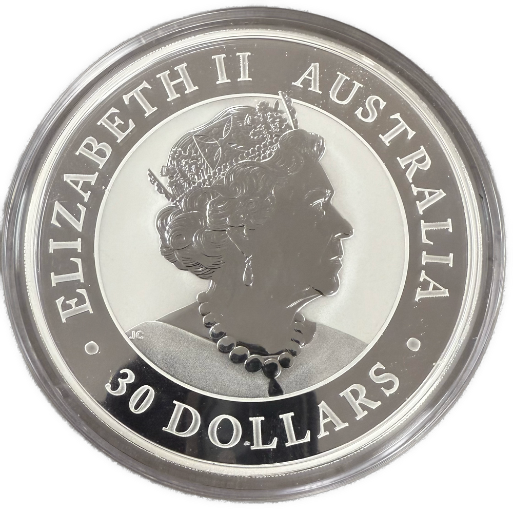 1KG .999Ag 2019 Australian Kookaburra