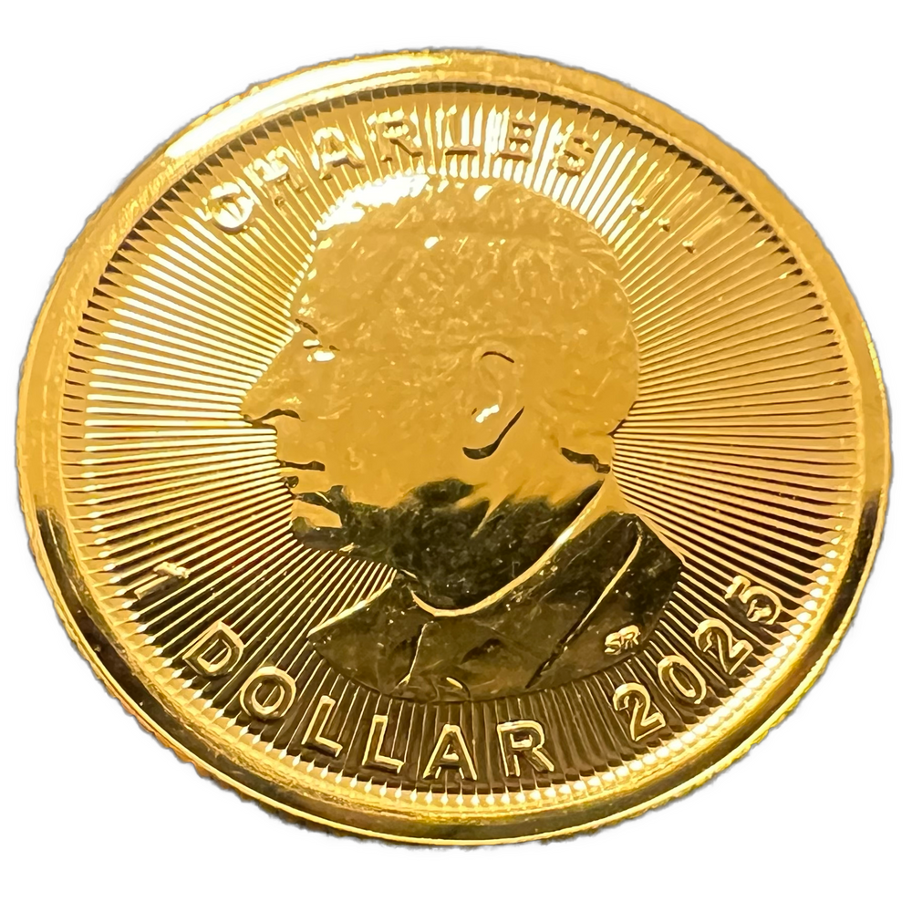 1/20oz .999Au 2025 Maple Leaf (Flere på lager)