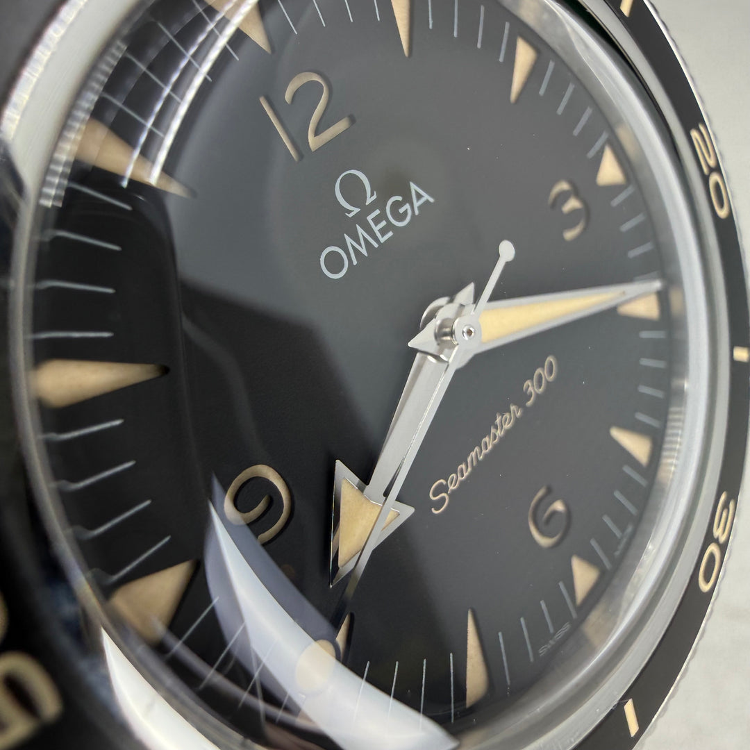 Omega Seamaster 300 Ref. 234.30.41.21