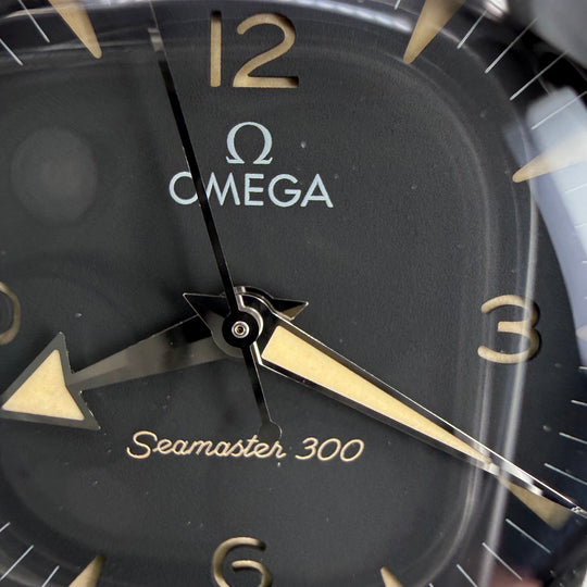 Omega Seamaster 300 Ref. 234.30.41.21