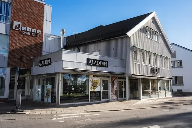 Aladdin Elverum
